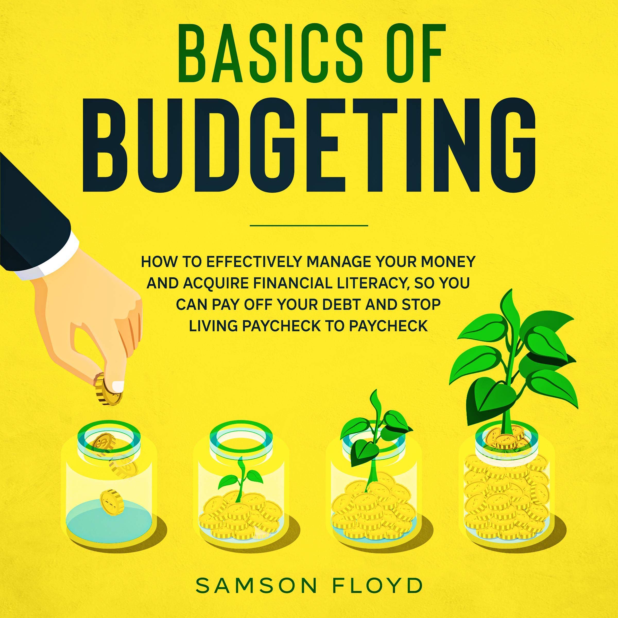 Cover art for Basics of Budgeting