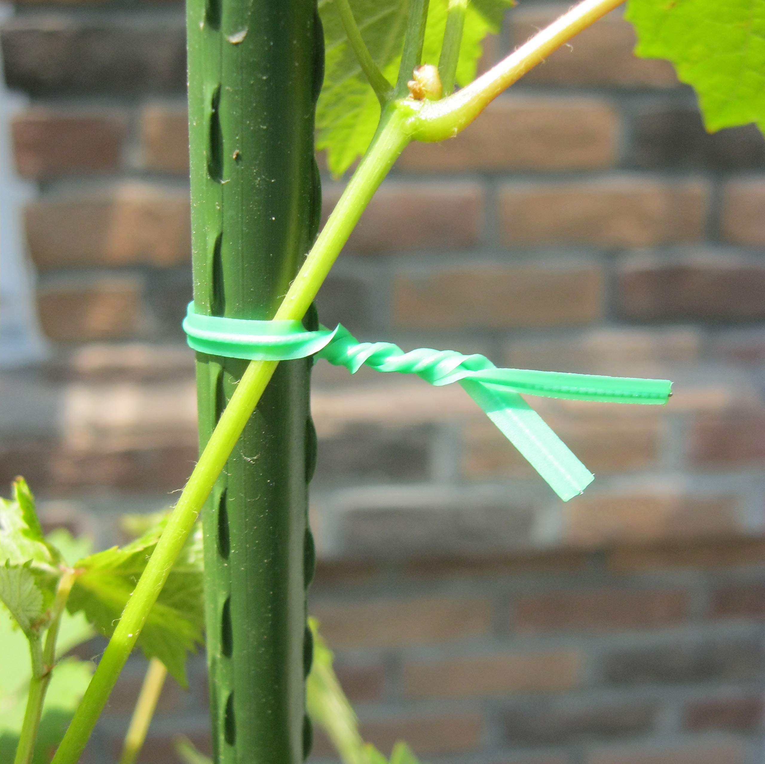 Gardzen 300 szt. 20 cm wielofunkcyjna opaska kablowa do roślin ogrodowych / opaska na zamek błyskawiczny / drut powlekany