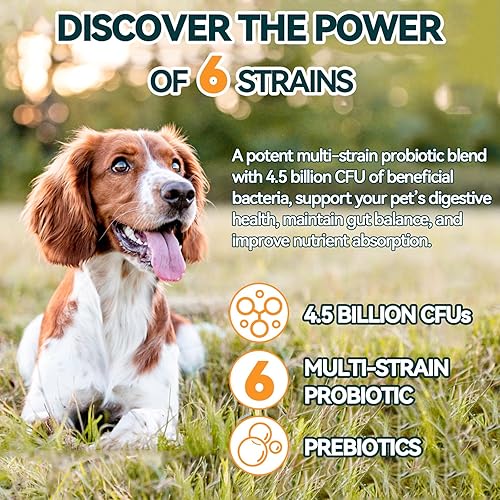 Miniatura 4 de Carmelie Probióticos para perros, 200 masticables suaves, probióticos digestivos y enzimas para la salud intestinal con calabaza, fibra para perros,