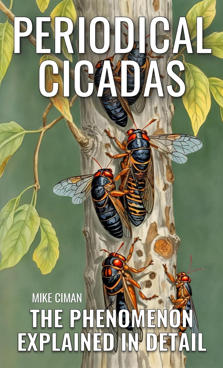 Periodical Cicadas - The Phenomenon Explained In Detail      Kindle Edition