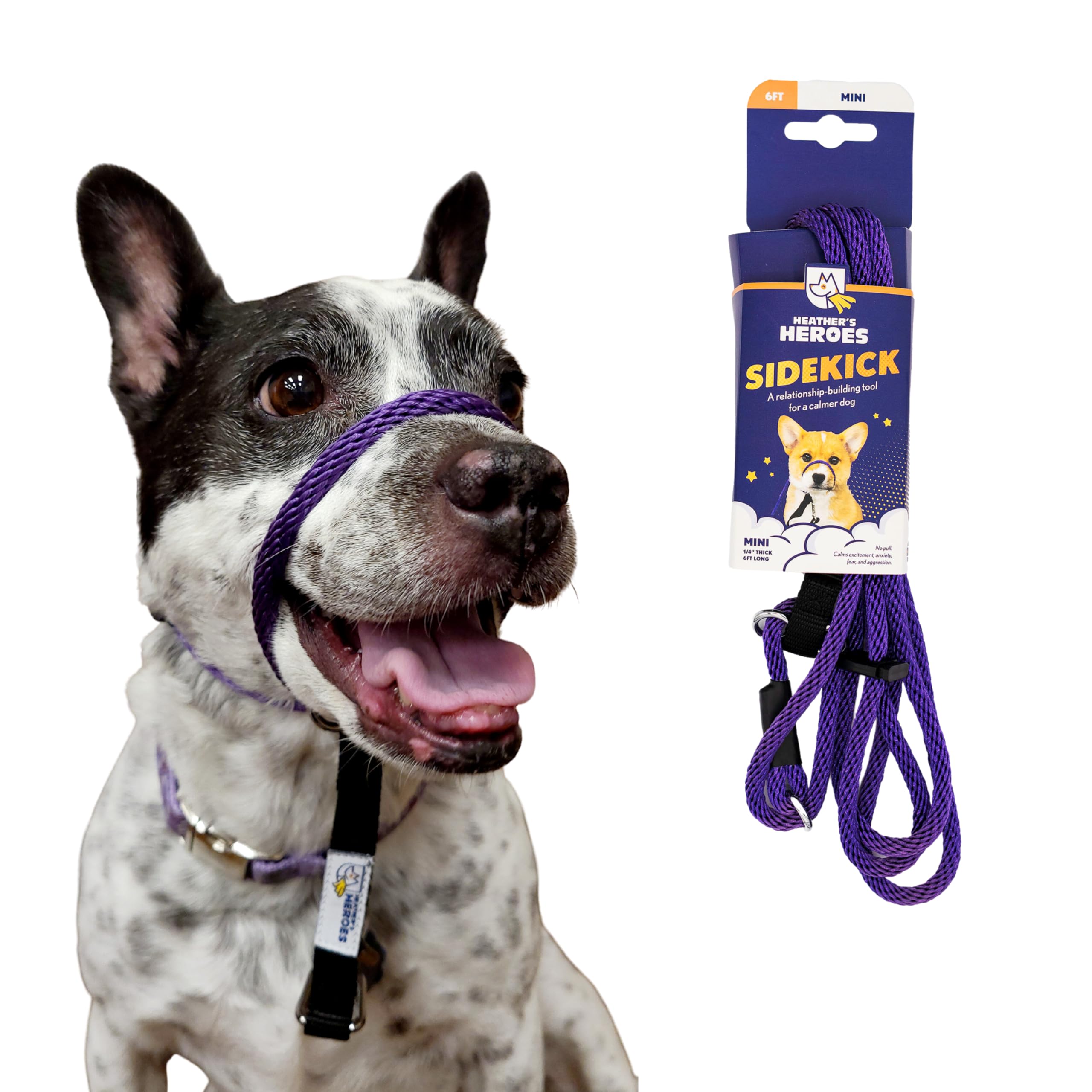 Heather's Heroes Sidekick Dog Headcollar with Leash