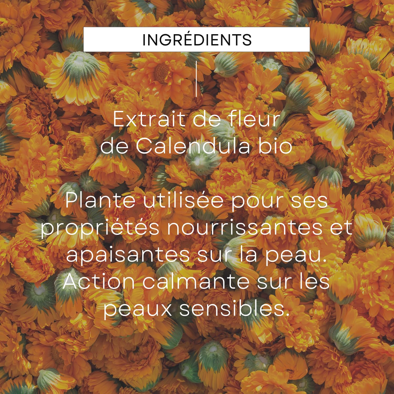 WELEDA - Gel lavant doux au Calendula sans parfum - Nettoie en douceur - Pour la toilette quotidienne des peaux délicates des bébés et des jeunes enfants - / - 400 ml