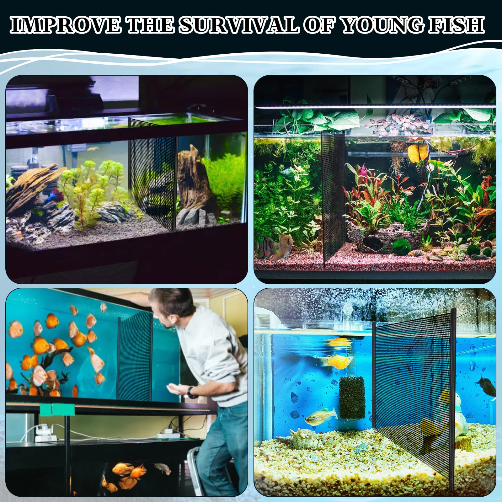 Bandeja Divisora Para Acuario - Placa De Aislamiento 30x30 Cm Para Separar Peces O Filtrar