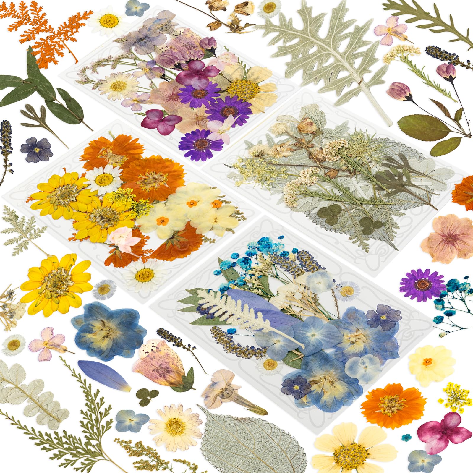 204 Pcs Dried Pressed Flowers for Resin Crafts, Real Natural Pressed Flowers and Leaves, Vacuum Sealed Dry Flowers for Epoxy Resin Jewelry Making, Candle & Soap Making, Nail Art (Purple) — image 1