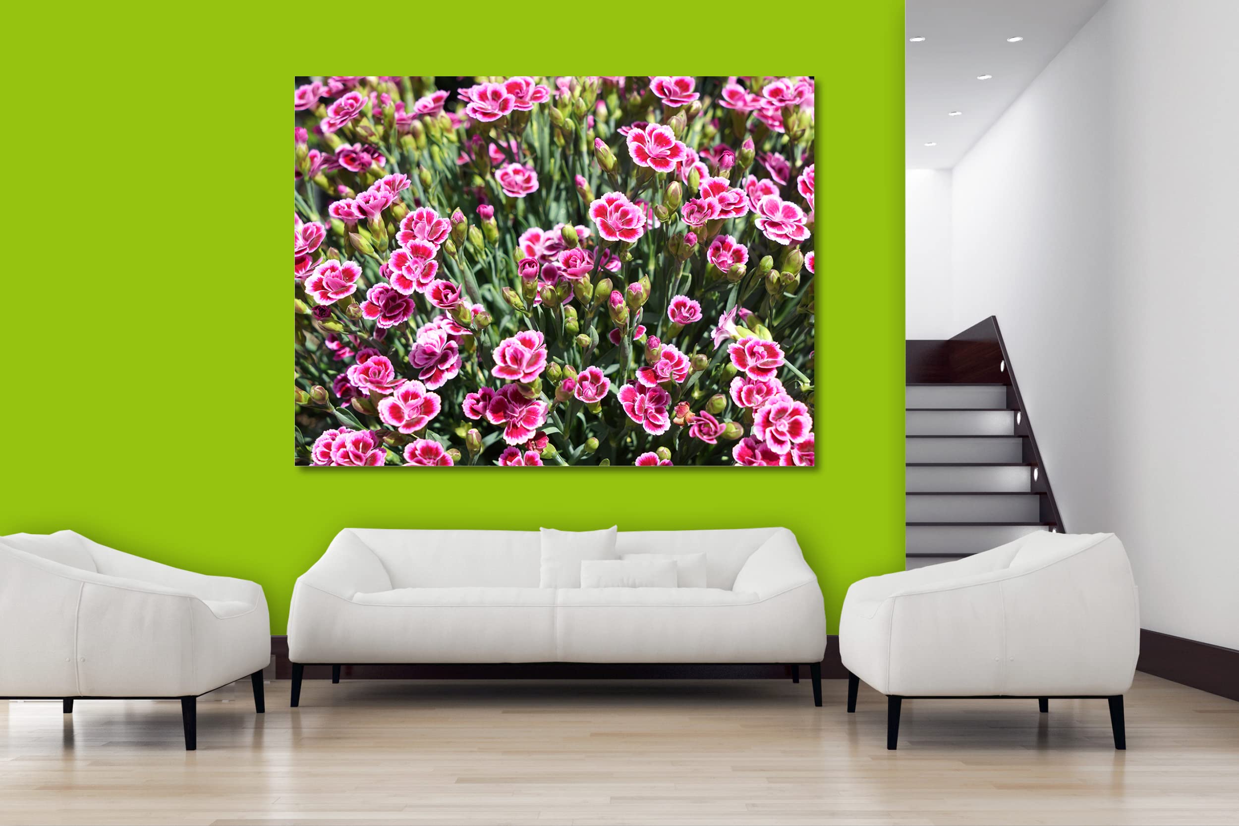 Glücksvilla - Prinzess-Nelke (Leinwand-Bild 2 cm, 40 x 30 cm) | div. Maße - aus DE - Kunstdruck XXL Deko Wandbild quer - Pink Kisses Blumen Blüten Garten Pflanze Natur Wiese Natur
