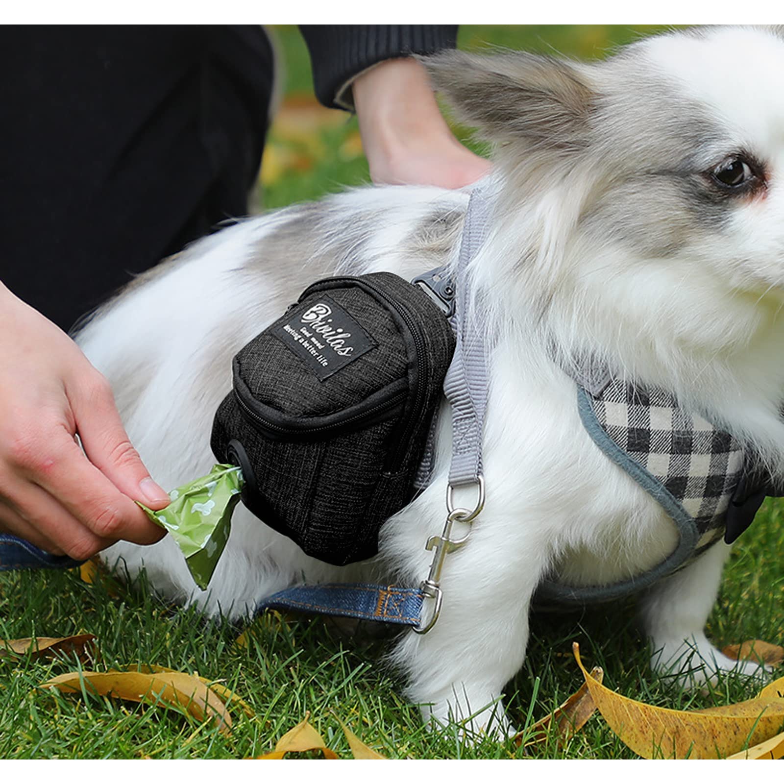 FuninCrea Borsa per Cibo per Cani, Borsa Addestramento Cani con Dispenser per Cacca Integrato per Passeggiate in Tessuto OxfordBorsa Addestramento Cane Allenamento all'aperto (Nero)