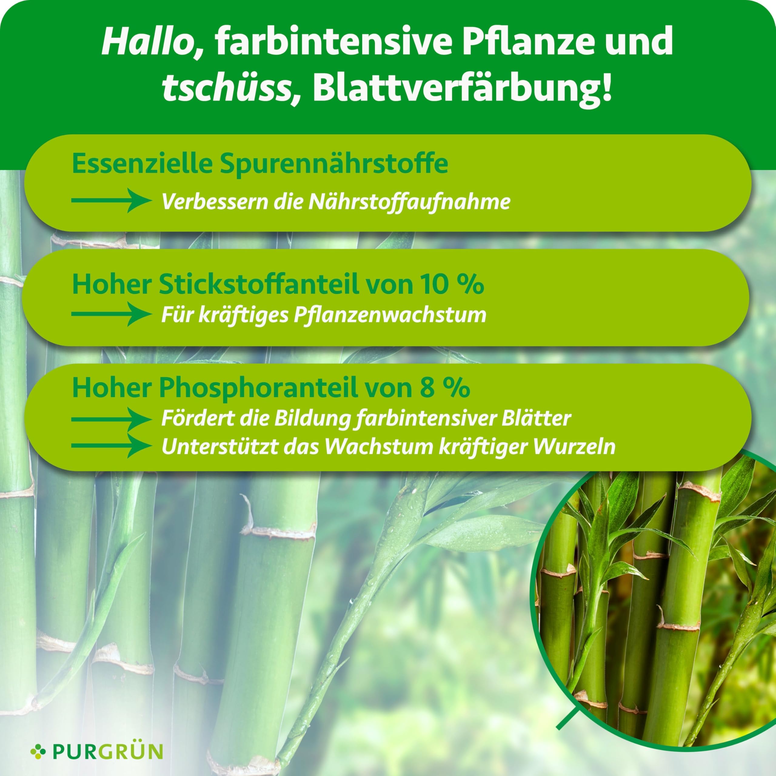 Bambusdünger 1 Liter – Extra Stickstoff für kräftiges Wachstum – Spurennährstoffe für intensive Blattfärbung – Ergiebiges Konzentrat für ca. 400 Liter Gießwasser – Premium-Flüssigdünger