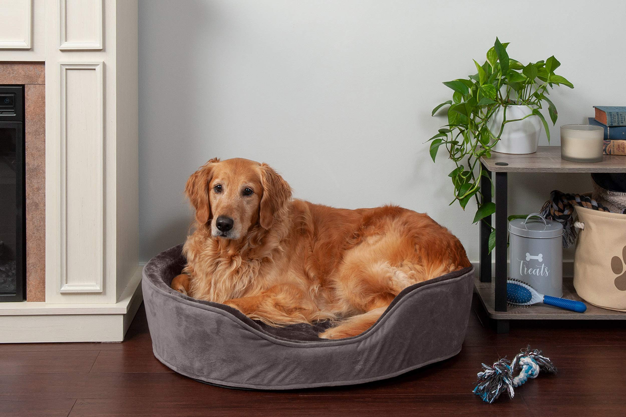 How To Clean A Dog Bed Without A Removable Cover Doggy Brace atelier