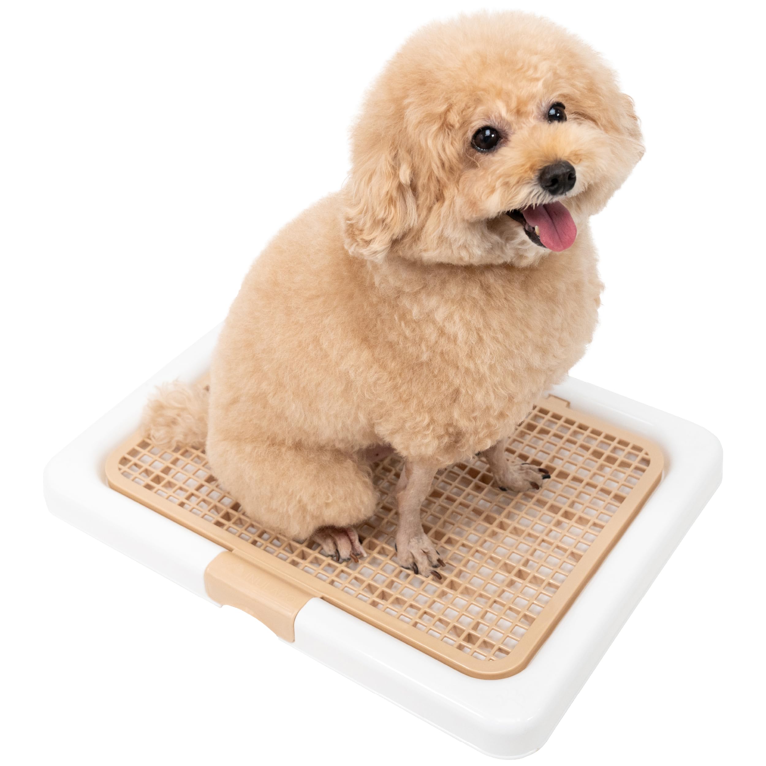 Amazon | INULABO(イヌラボ) 犬 トイレ トレー 高床式 小型犬 超小型犬