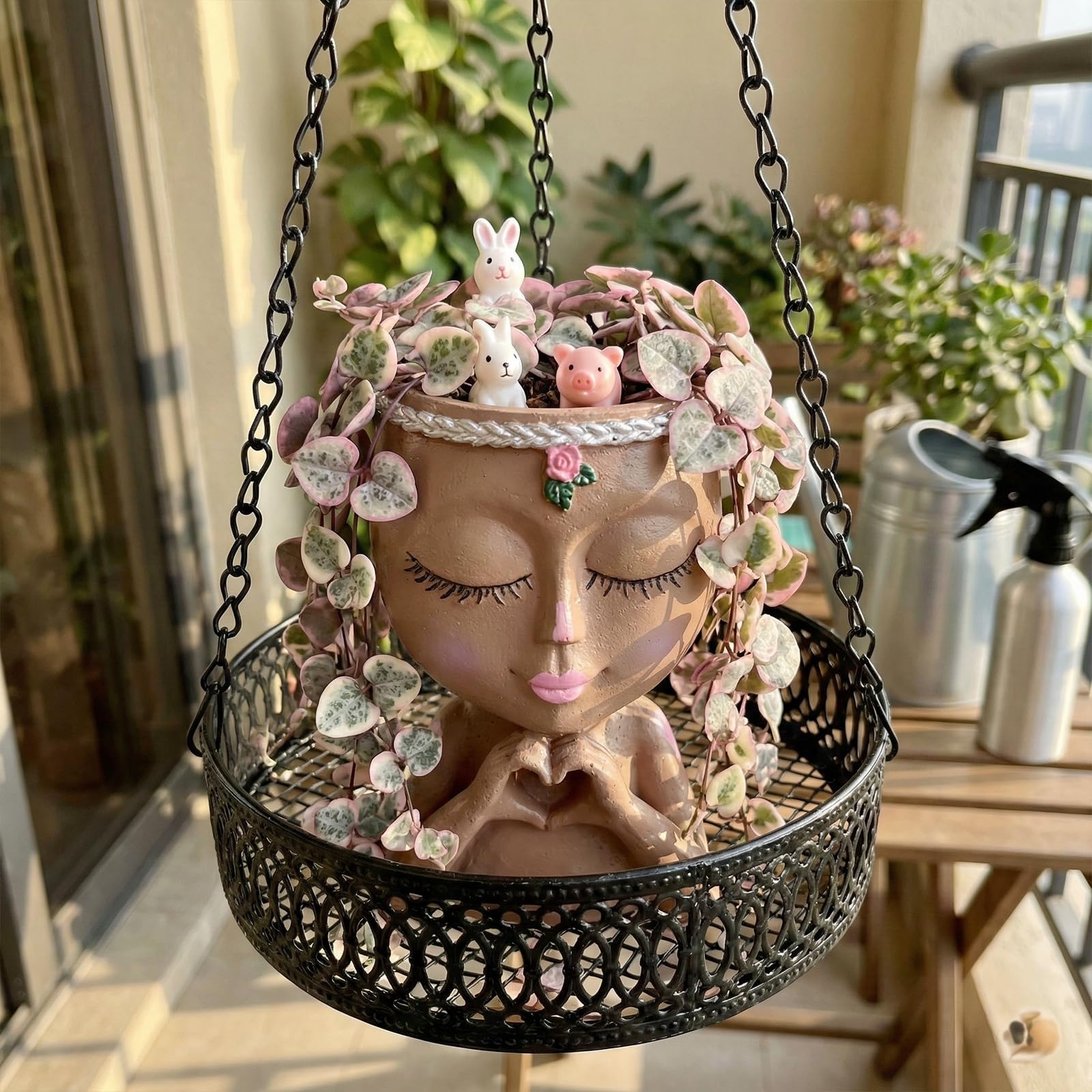 Piante grasse da balcone - Le Piante Grasse - Piante grasse da balcone