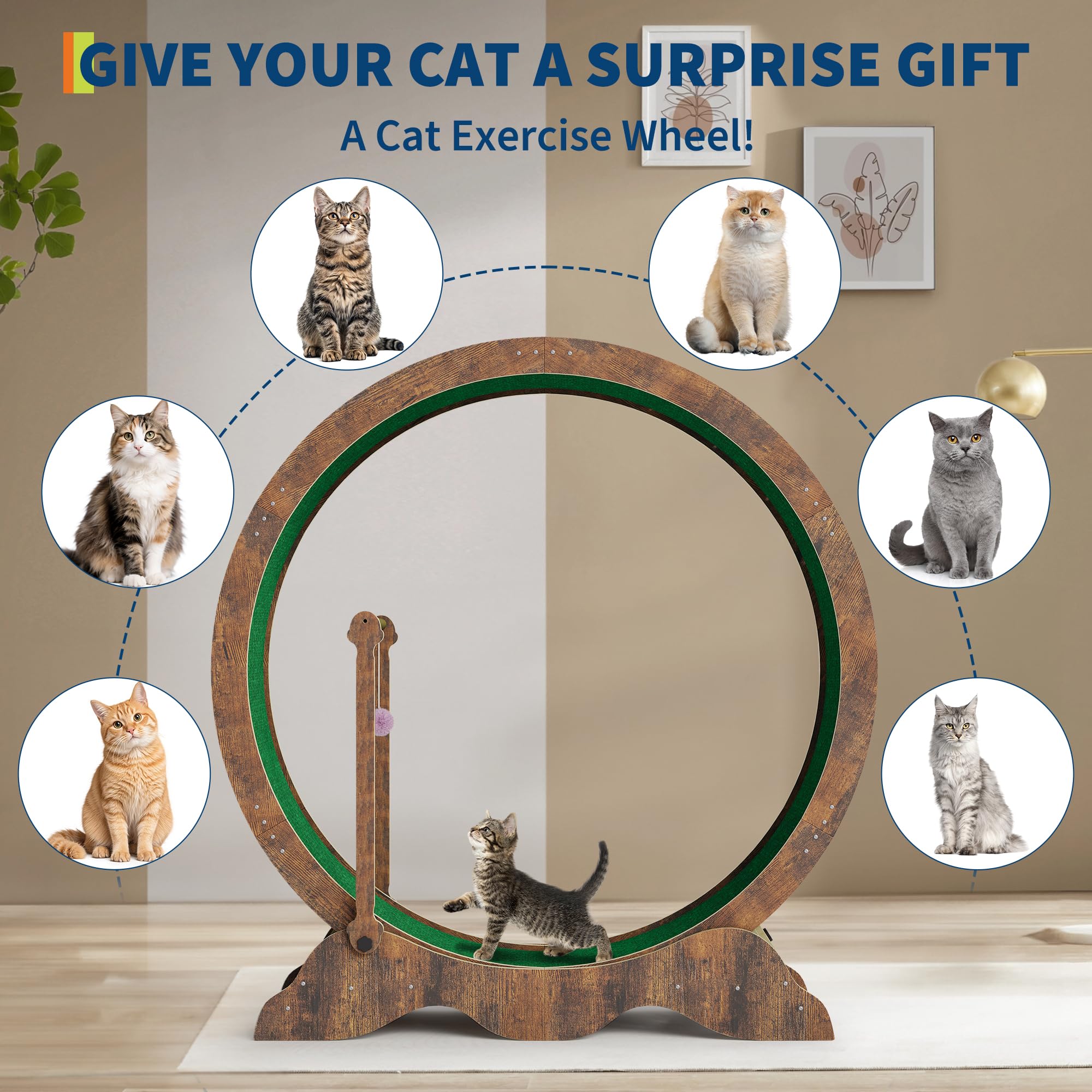 GarveeTech Roue d'exercice pour chat 115 cm pour chats d'intérieur – Tapis de course avec tapis amovible, verrouillage de sécurité et balle de jeu – Roue en bois pour toutes les tailles de chats pour