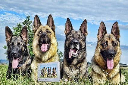 puzzles for german shepherds
