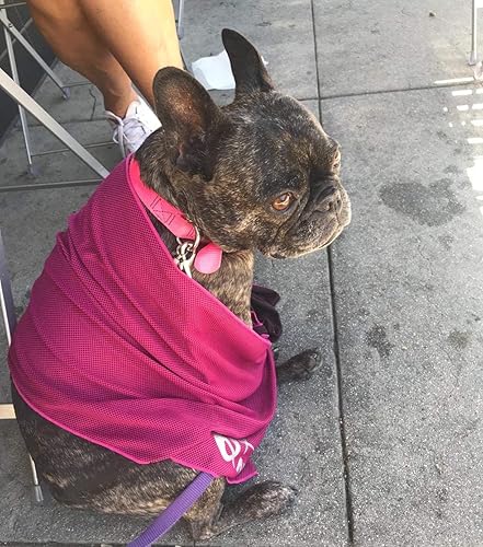 Miniatura 2 de Alfamo Toalla de enfriamiento para deportes, entrenamiento, fitness, gimnasio, yoga, pilates, viajes, camping y más