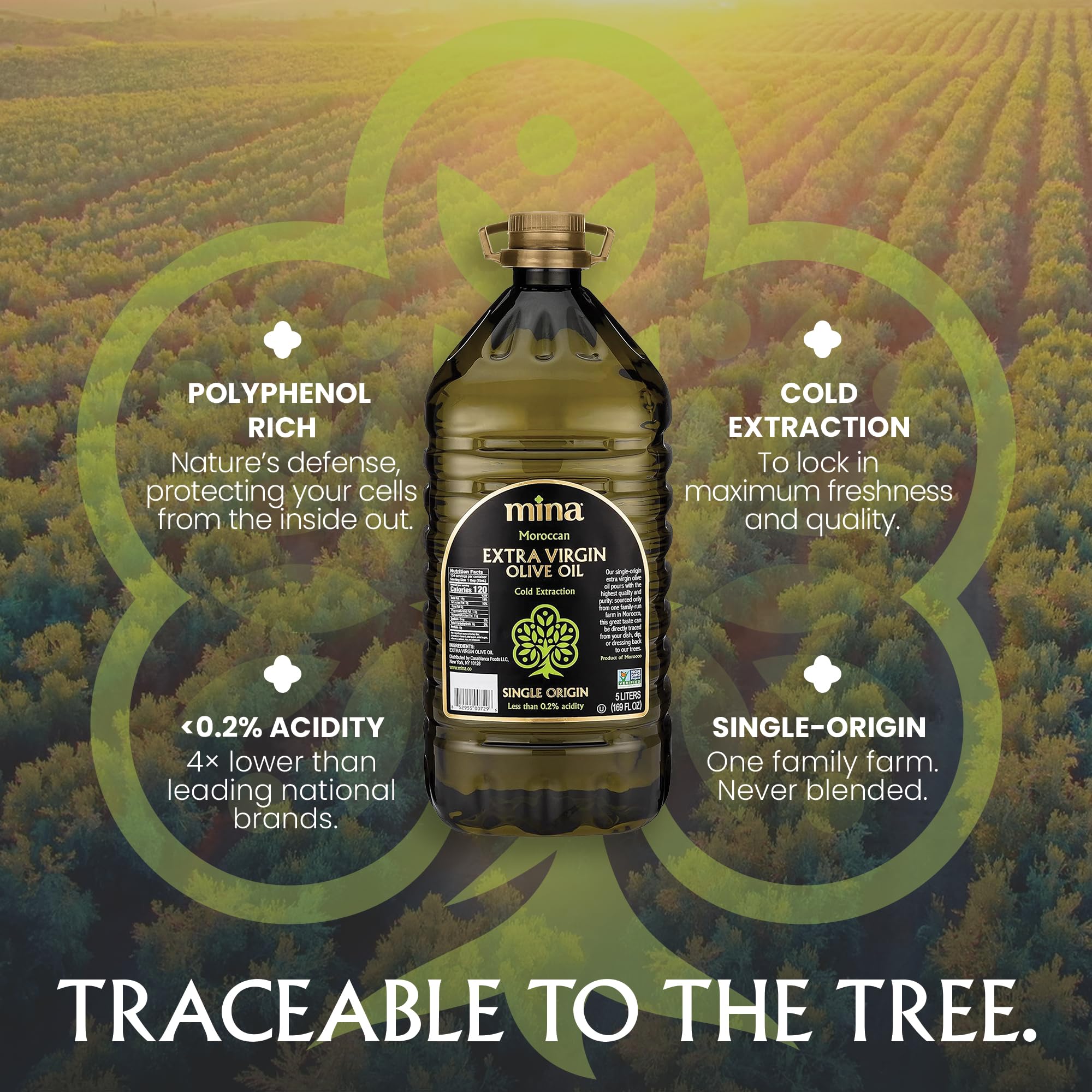 Amazon.com : Mina Moroccan Olive Oil Extra Virgin 169 Fl Oz