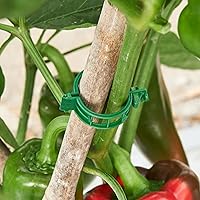 Vista 9 de 100 piezas de clips de soporte para plantas, clips de plástico para asegurar plantas, clips para vides de tomate, clips de fijación de plantas