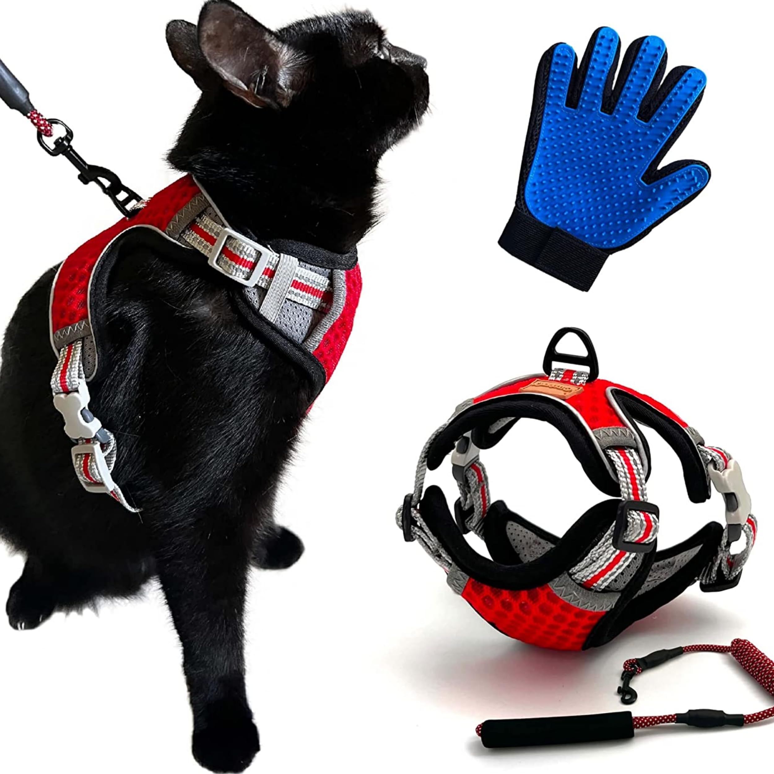 CutePet - Anti-Escape Harness for Kitten Adult Cat, Puppy, Small Dog, Rabbit with Cat Hair Glove, Red