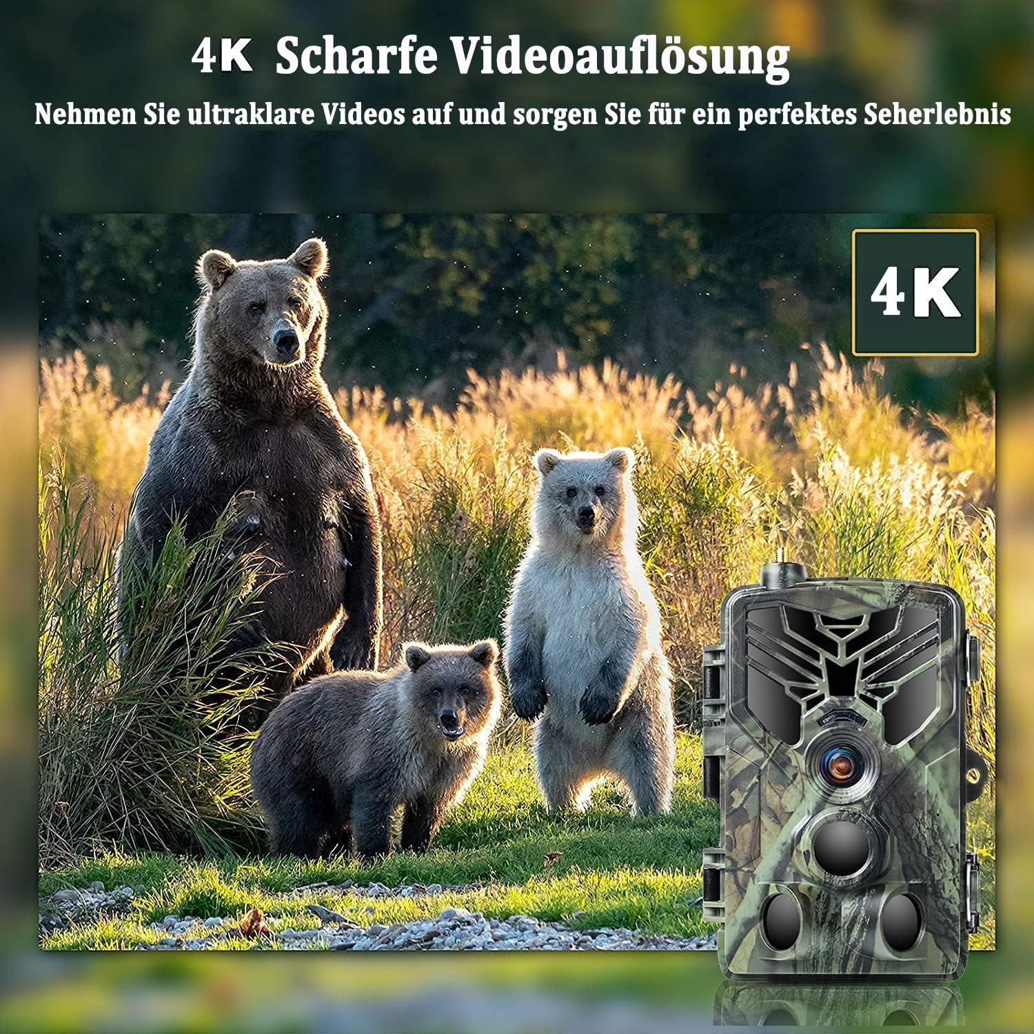 De 6 Beste Wildcamera 's van 2026 met Nachtzicht & Wifi