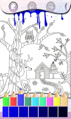 Mandala Coloring Book for Me and Friend