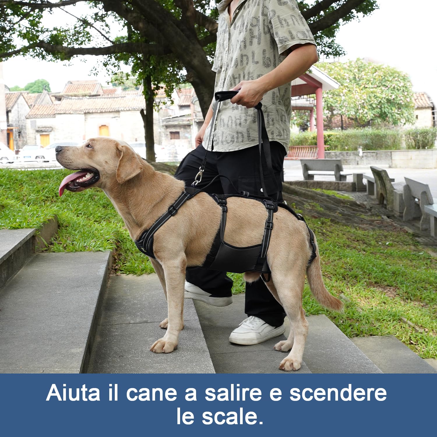 Coodeo Imbracatura per Cani, Supporto Completo e Fodera di Recupero, Regolabile con Cinghie Traspiranti per Cani Anziani, Disabili, con Artrite e Paralisi, aiuto per Camminare (Nero, L)