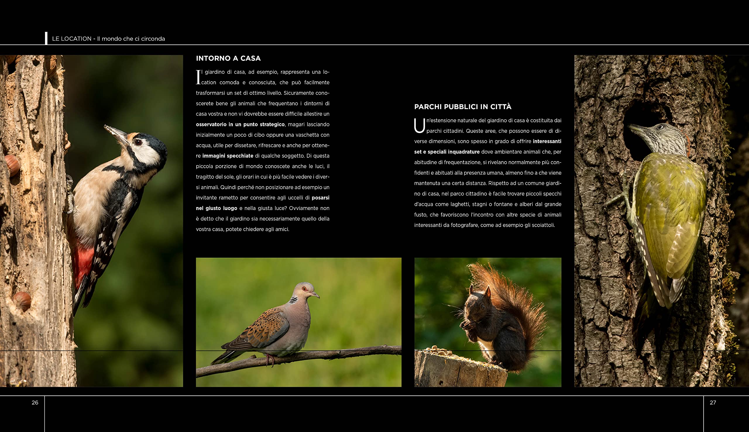 Introduzione alla fotografia naturalistica. Tecniche e consigli pratici