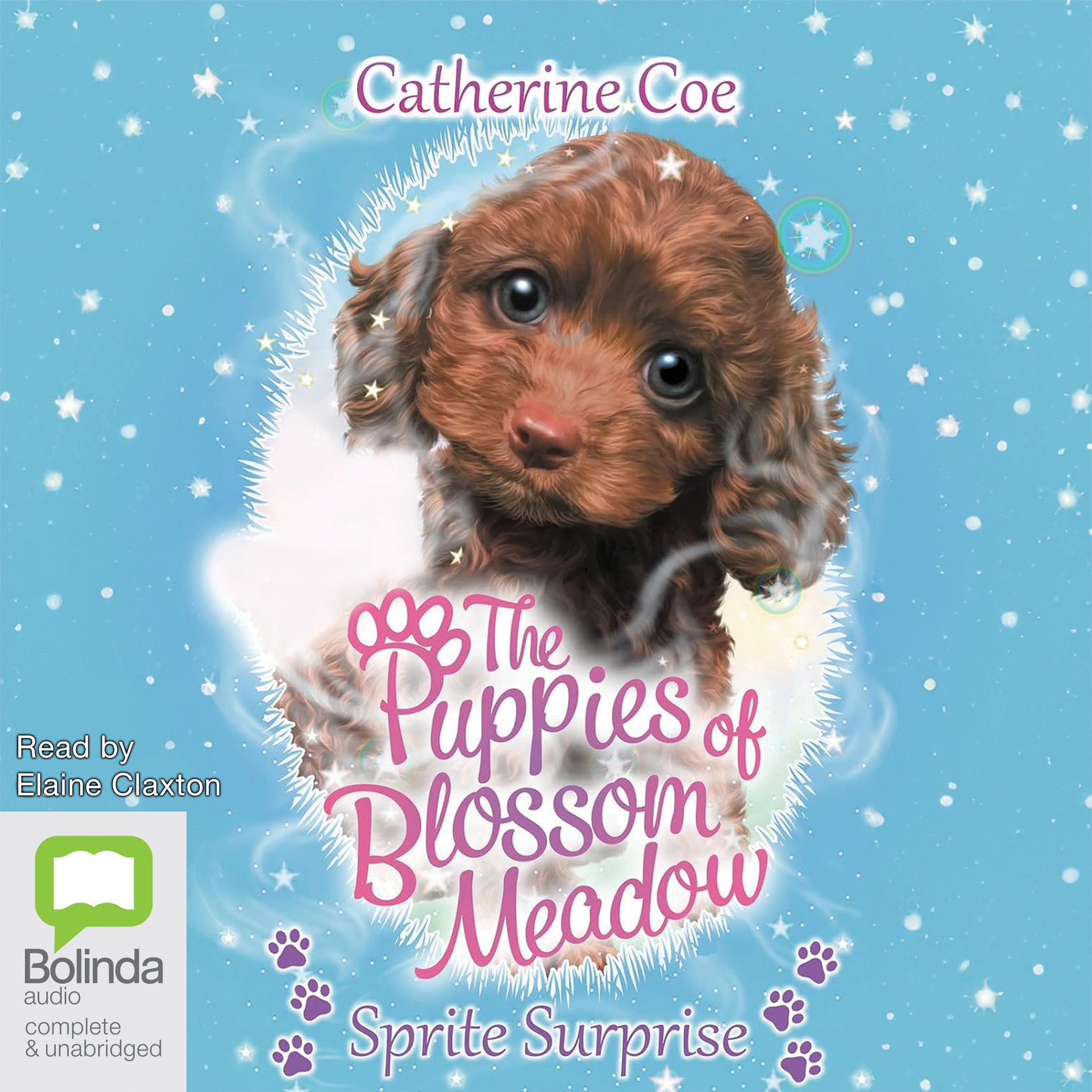 Cover art for Sprite Surprise