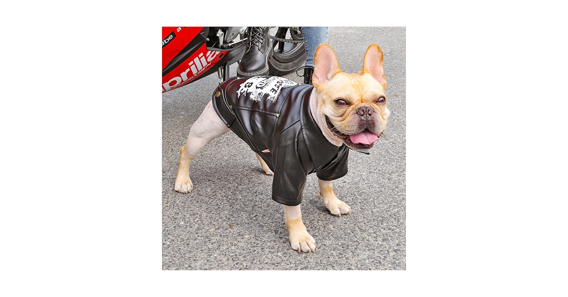 Amazon | 犬コート レザージャケット ペット服 秋冬 裹起毛 屋外