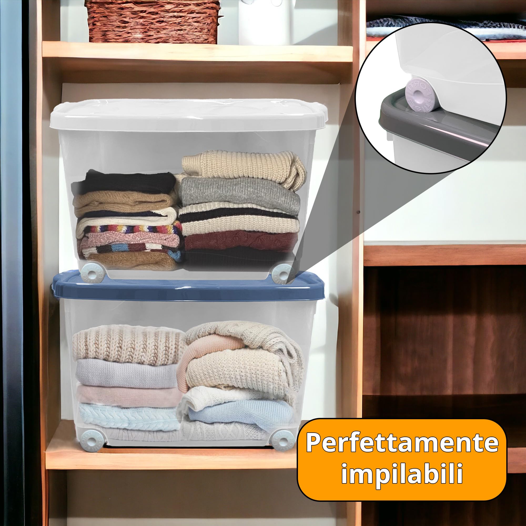 Sicignano | Mehrzweck-Aufbewahrungsbox mit Deckel in verschiedenen Farben, transparenter Kunststoff, stapelbar, rechteckig - für Wohnzimmer, Schlafzimmer, Kleidung (55 l, 2)