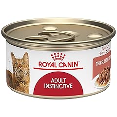 Royal Canin Adult Feline Health Nutrition Instinctive Thin Slices in Gravy Canned Wet Cat Food, 3 oz can (24-count)