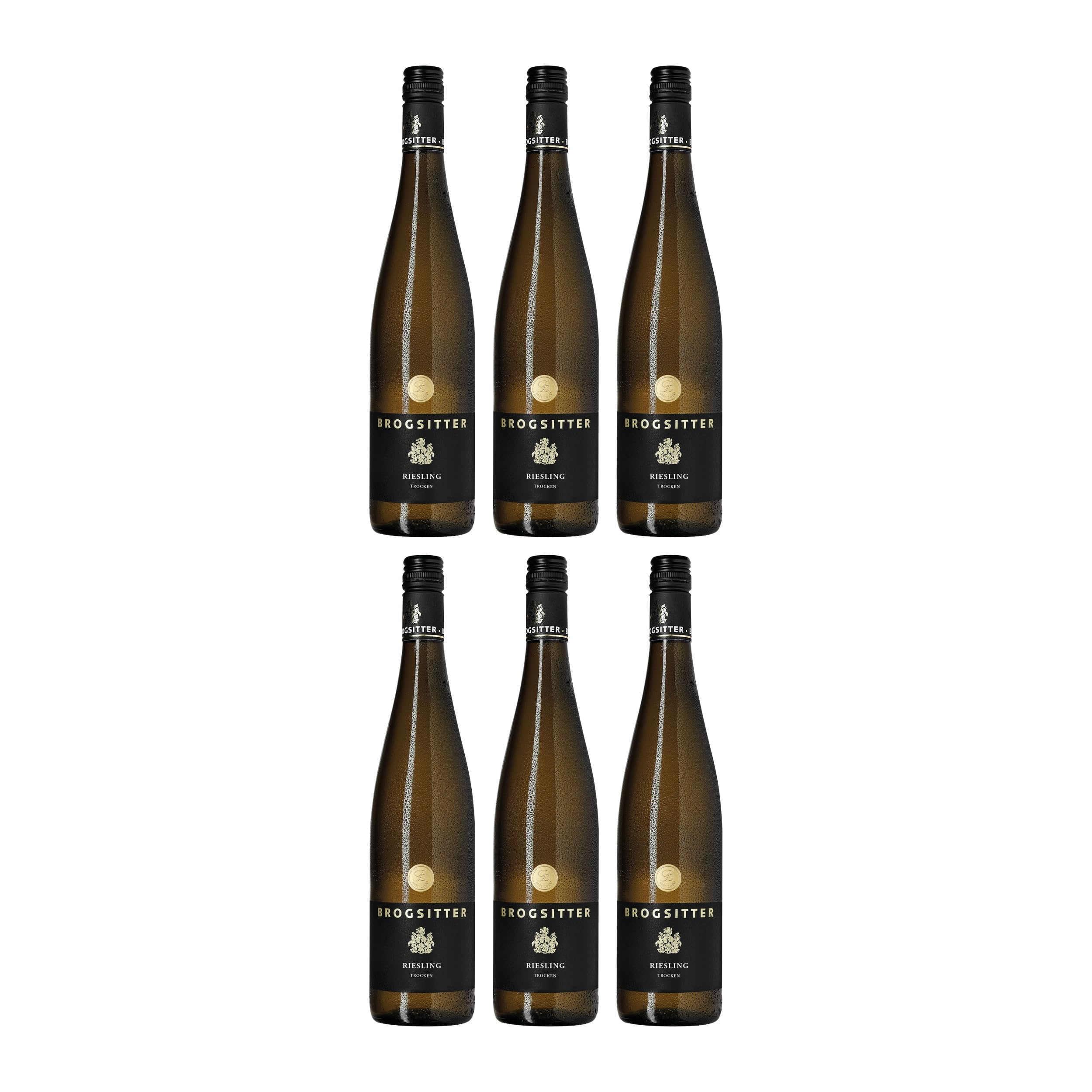 Weingut Brogsitter Riesling Weisswein Weiss Trocken Deutschland inkl. FeinWert E-Book (6 x 0.75 l)
