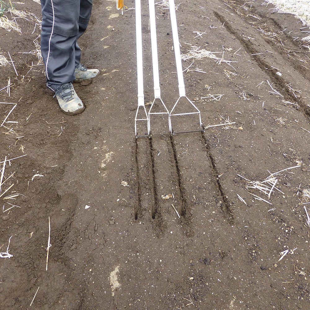 浅野木工所 四万十式 新根切り Sサイズ 09215 | 浅野木工所 四万十式 新根切り Sサイズ 09215 | 園芸用はさみ