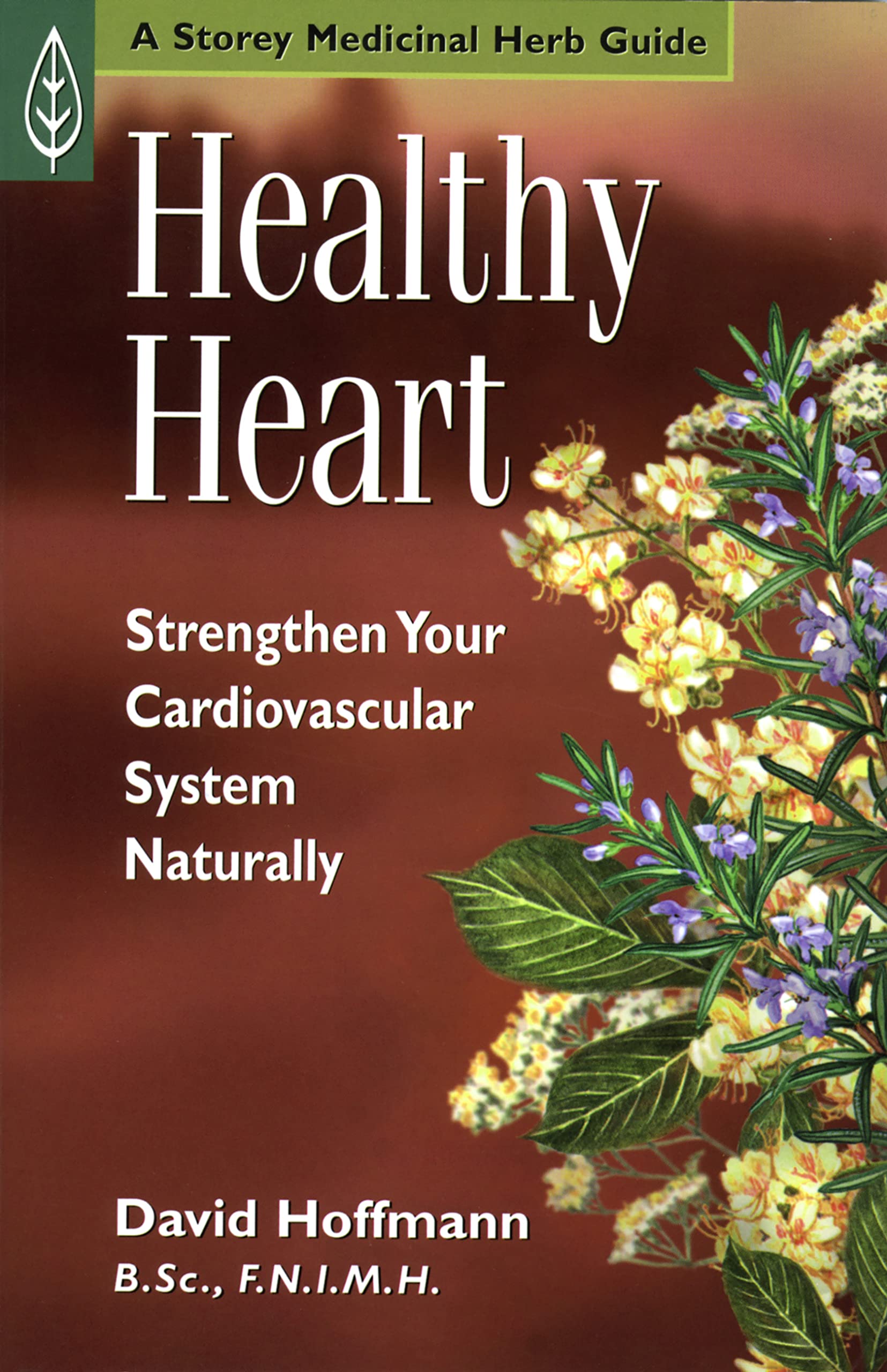 Buy Healthy Heart: Strengthen Your Cardiovascular System Naturally — BookShops.in