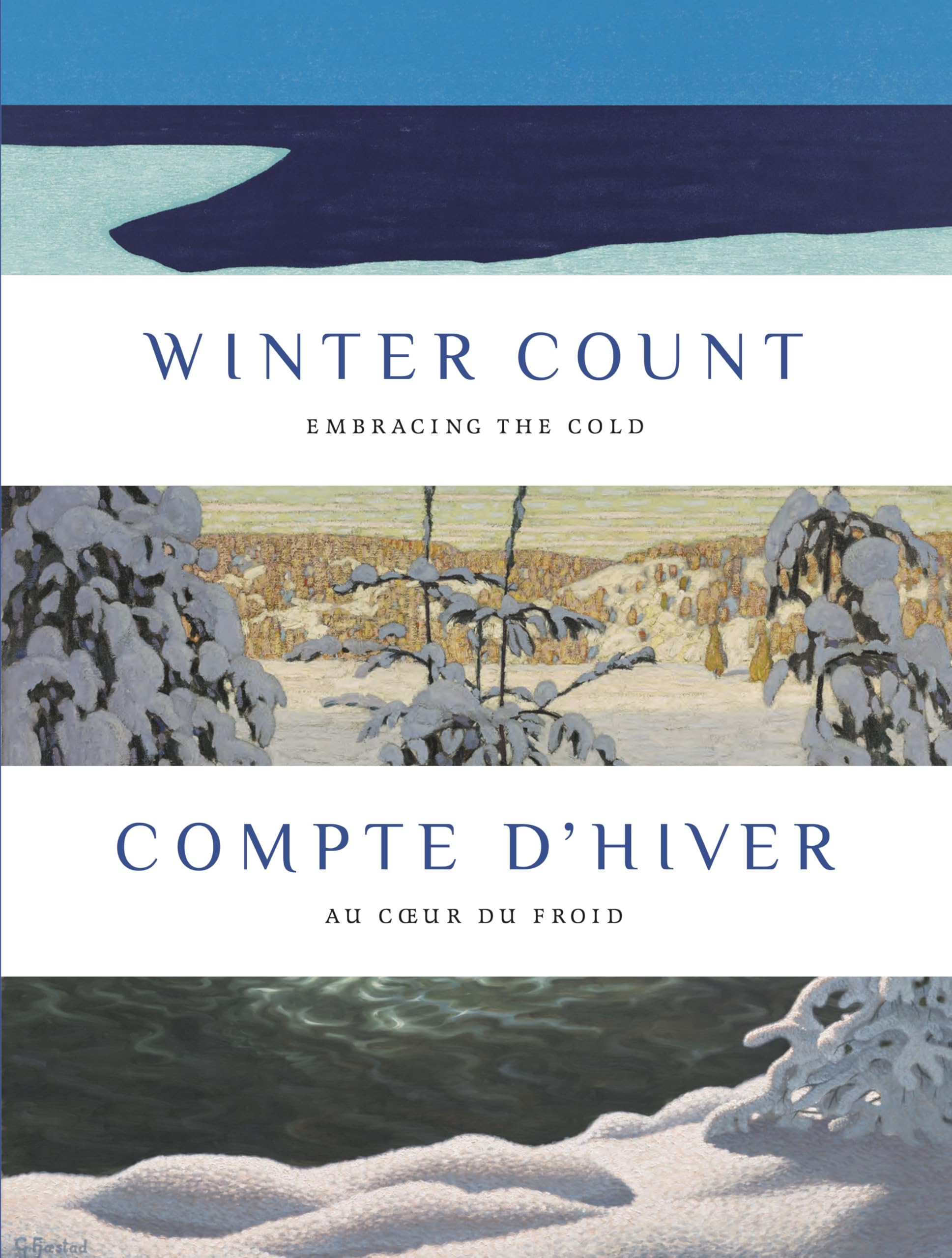 Compte d’hiver, au coeur du froid : livre hivernal, recueil de contes et lecture cocooning