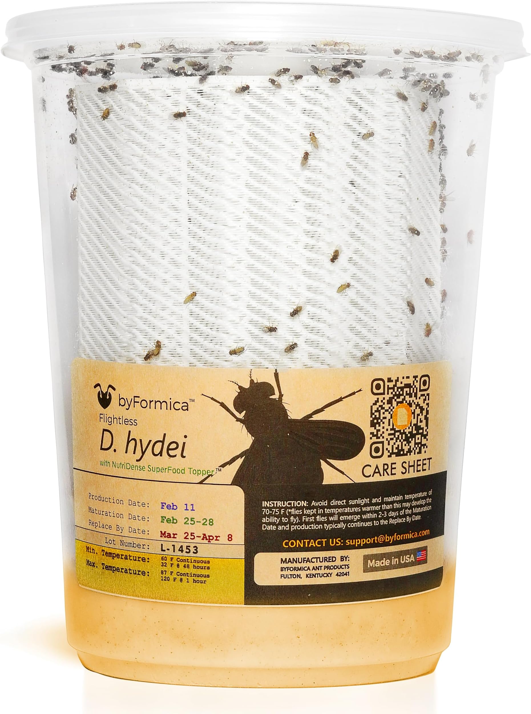 byFormica Flightless Drosophila hydei Fruit Fly Culture with NutriDense SuperFood Blend (Producing, 32 oz. Cup)