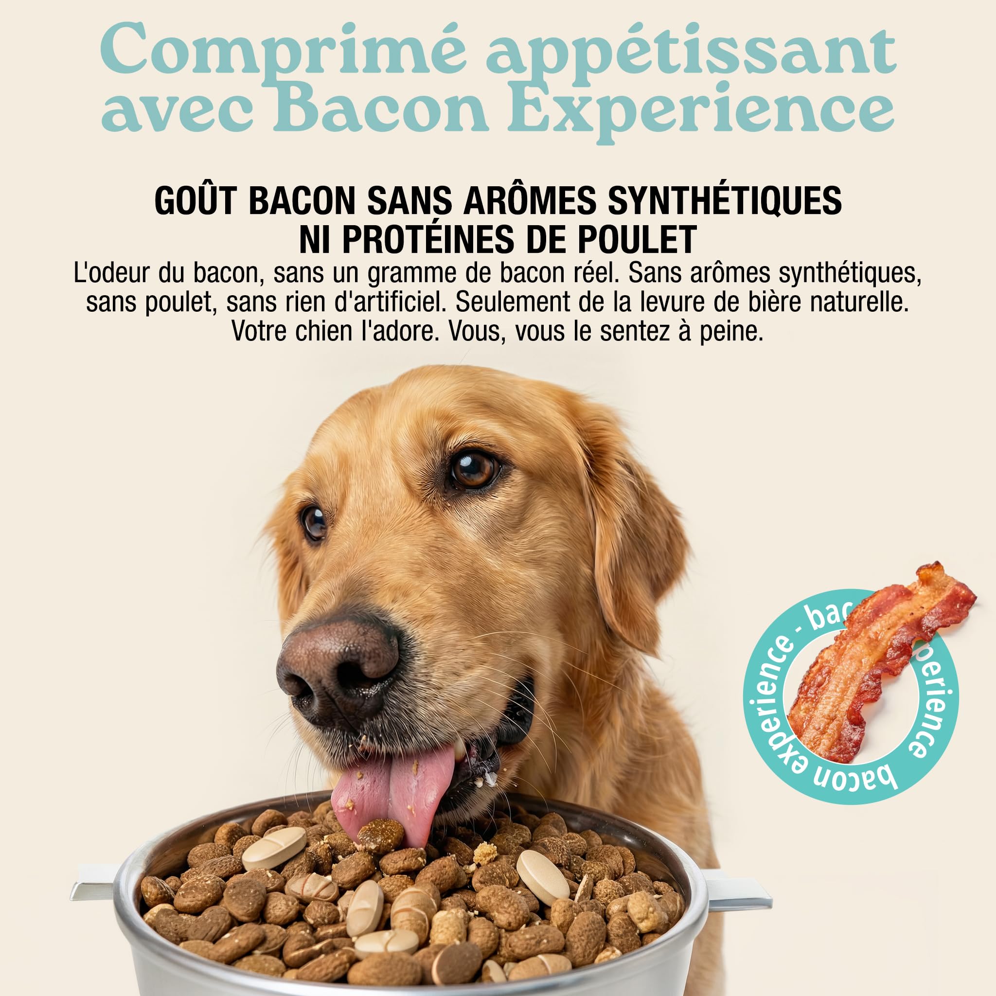 MyPetPrime Articulations Chien Complément Alimentaire 125 Comprimés | Nouvelle Formule JointSupport avec MSM, Poudre de Moule Verte, Glucosamine et Griffe du Diable