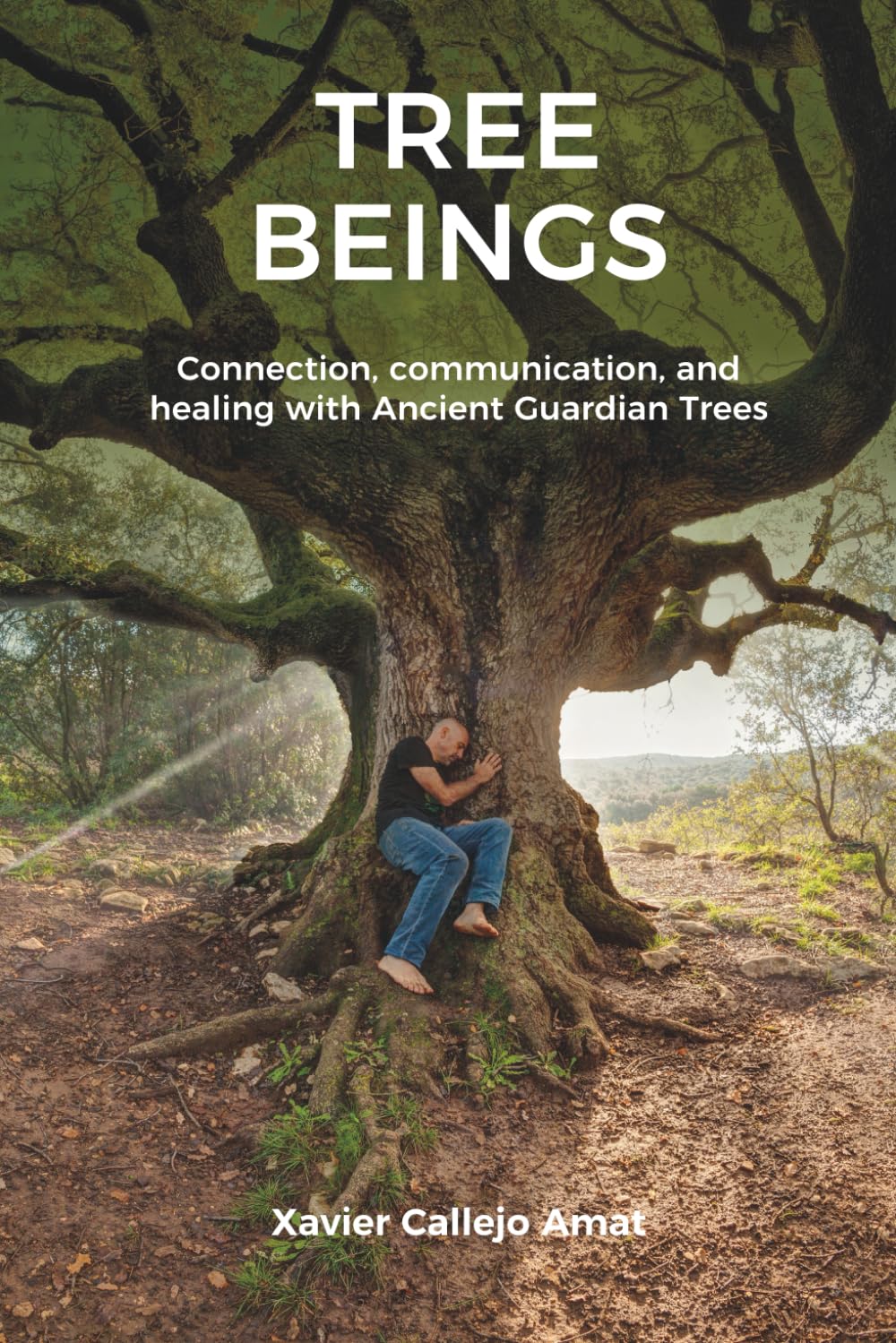 TREE BEINGS: Connection, communication, and healing with Ancient Guardian Trees