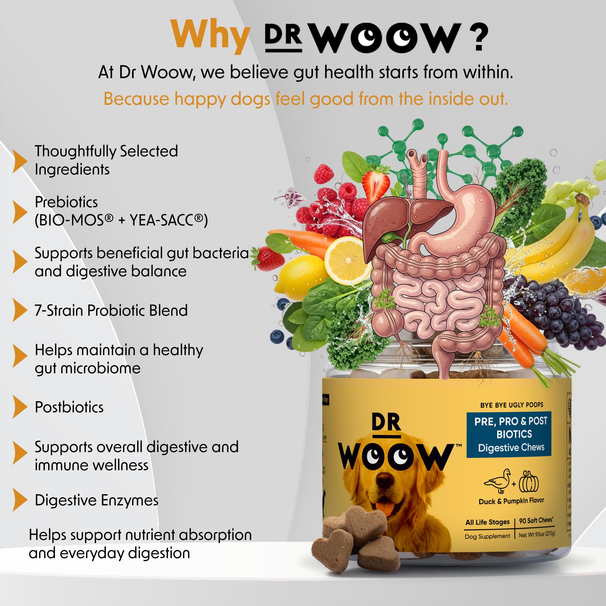 Probiotics Supplements for Dogs Soft Chews (90 CT) – Digestive Support + Gut Balance & Healthy Stool Support – Probiotics + Digestive Enzymes – Duck & Pumpkin Flavor – Made in USA - image 2