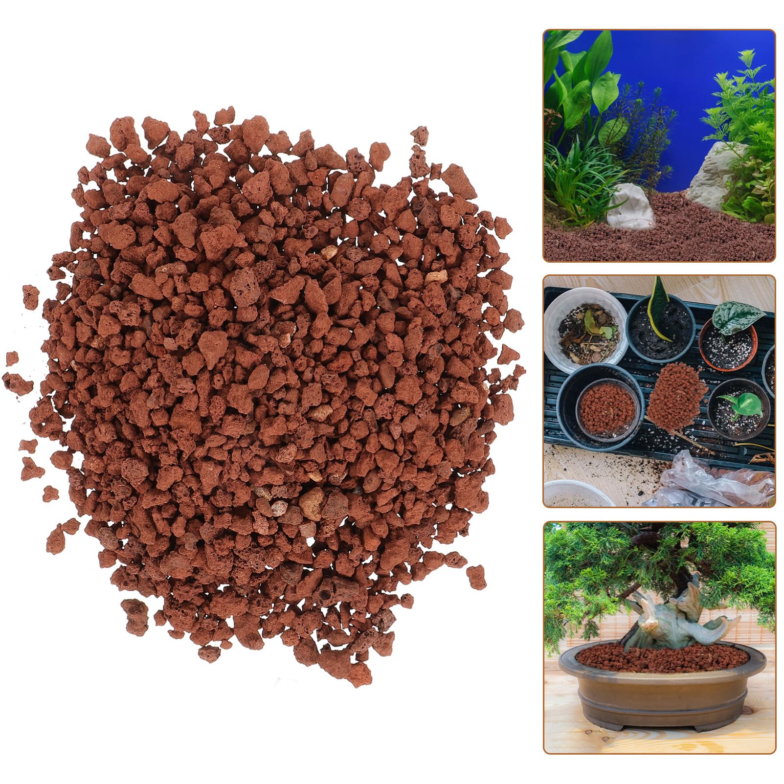Décoratives Pierre pour Aquariums et Plantes Pot Décor Naturel et Élégant pour Terrariums et Bonsaïs