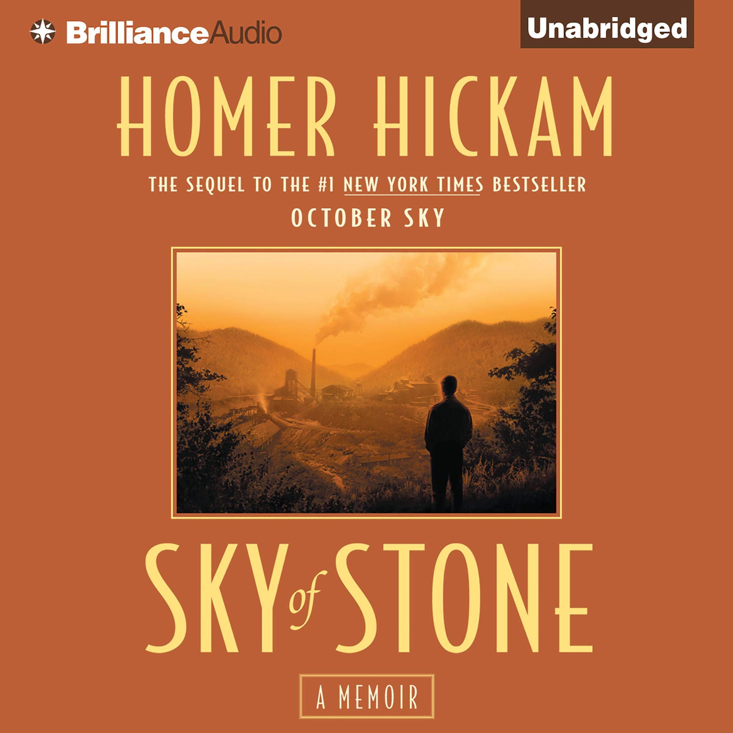 Cover art for Sky of Stone