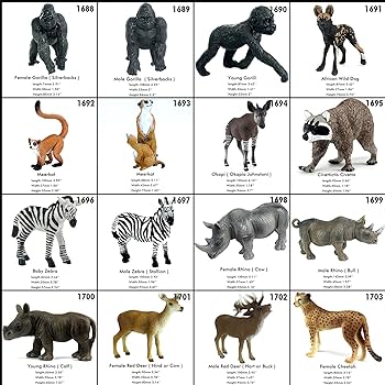 動物　置物 先月両角が落ちたキョン、 少しずつですが新しい角が生えてき