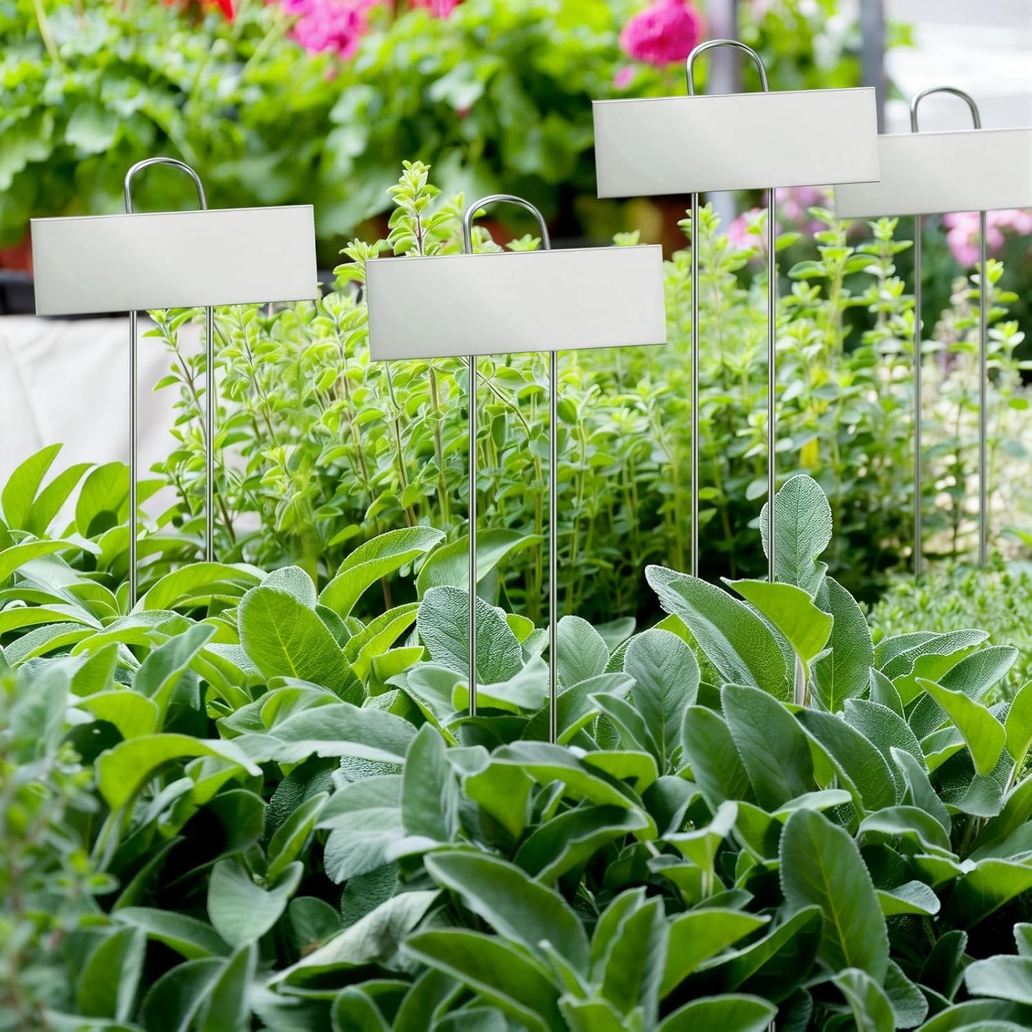 Duraaamo 30 Pcs Metal Large Plant Label Stakes 21" H Garden Labels Marker Sign Reusable Metal Name Stakes Plant Tags for Outdoor Garden Waterproof Seedlings Herbs Vegetable Greenhouse Sliver