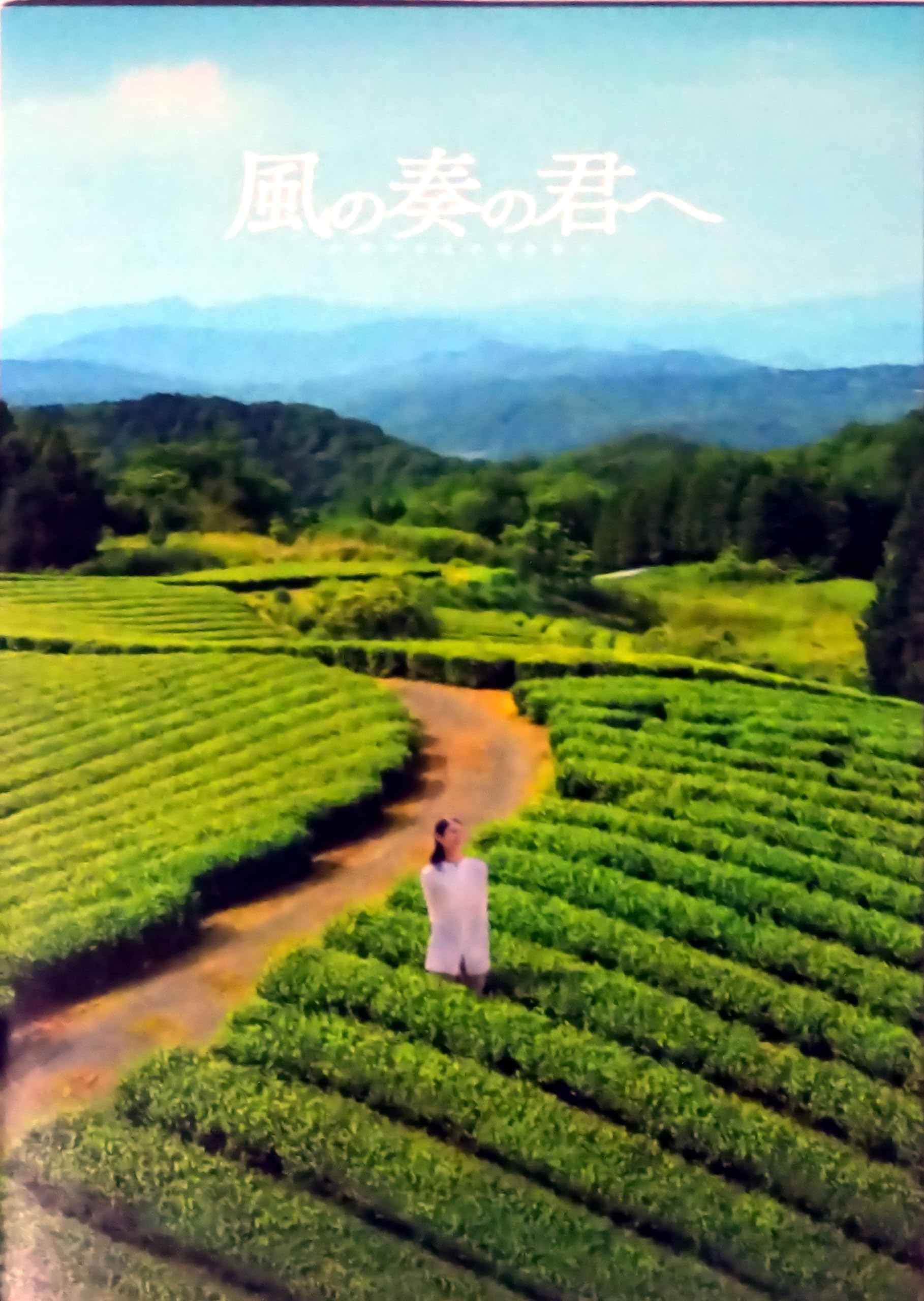 【映画パンフレット】風の奏の君へ 監督 大谷健太郎 キャスト 松下奈緒, 杉野遥亮, 山村隆太, 西山潤