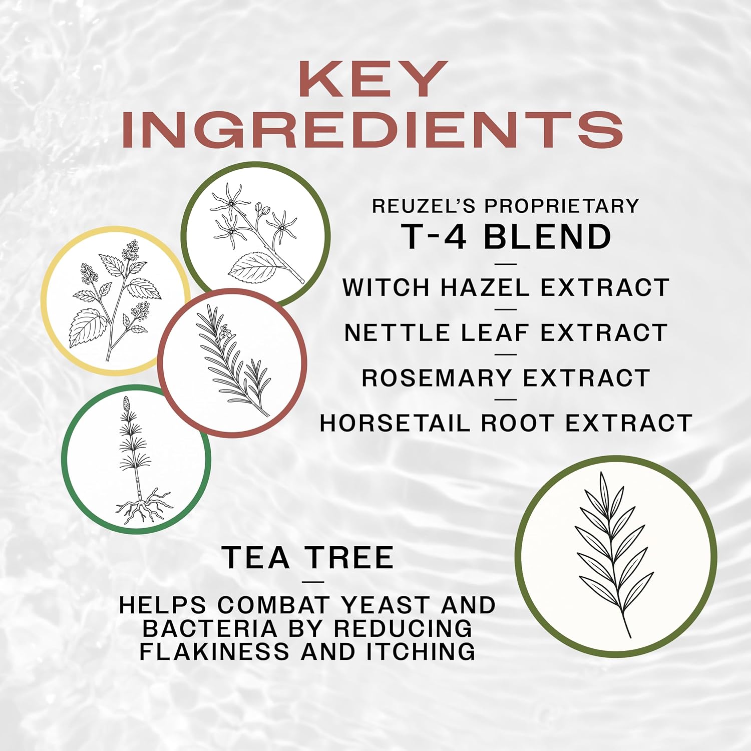 Reuzel 3-In-1 Tea Tree Shampoo, Cleanses Hair and Body - Image 4