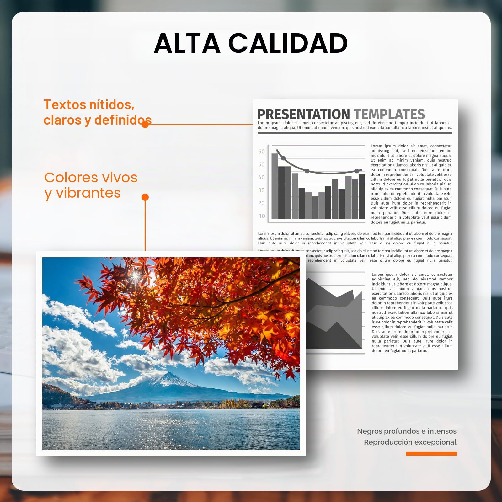 Cartuchos de impresión 308 XL, Cartuchos 308XL Negros y de Color Compatibles con los Cartuchos de Tinta Originales HP 308 para HP DeskJet 2900 4300 Envy 6110e 6120e 6122e 6130e 6520e 6530e 6532e 7220e
