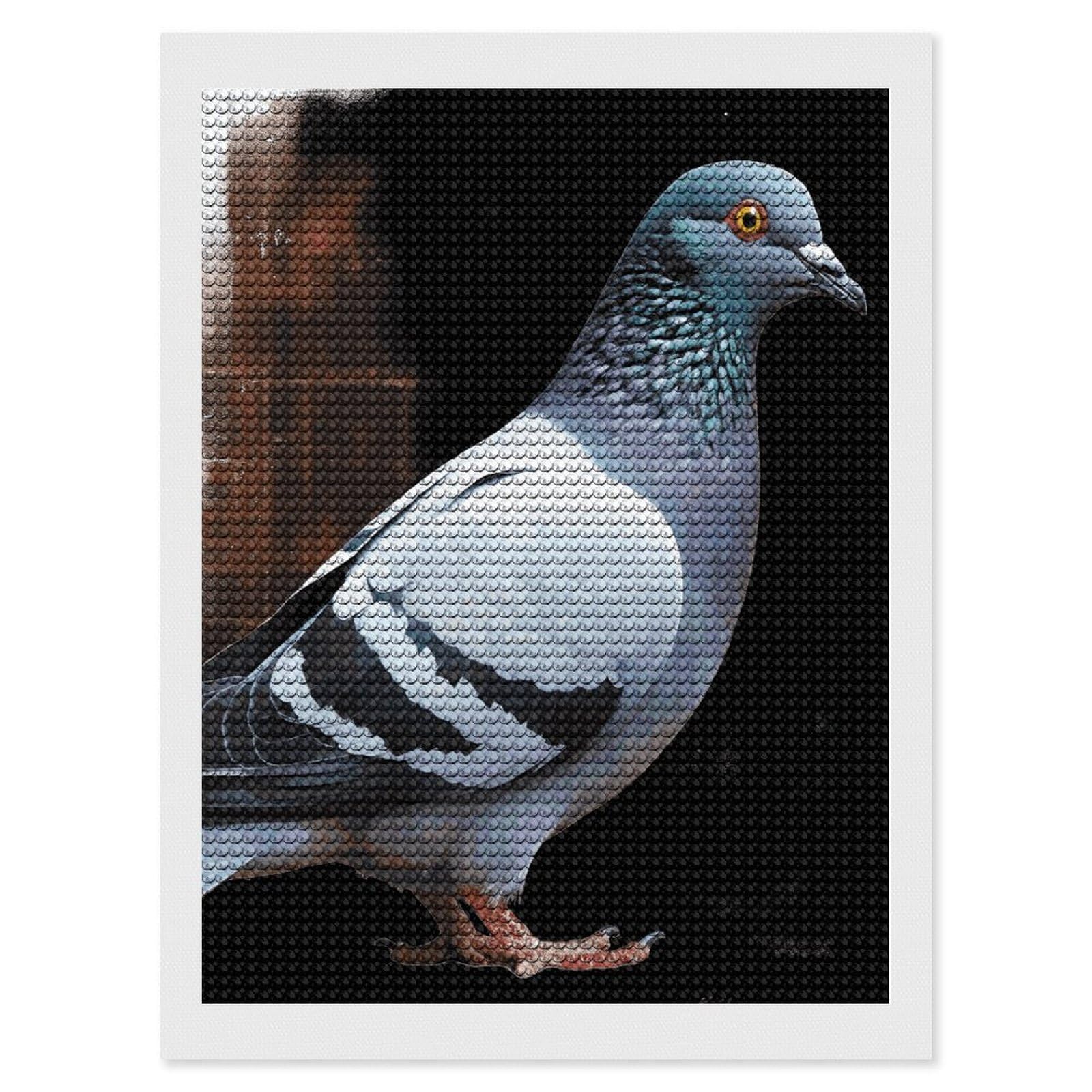 FodPand Pigeon 5D Diamond Painting Kits for Adults Beginners Full Drill Round Diamond Dots Pictures Gem Art Supplies for Home Wall Room Decoration DIY Craft Set Gift 12x16