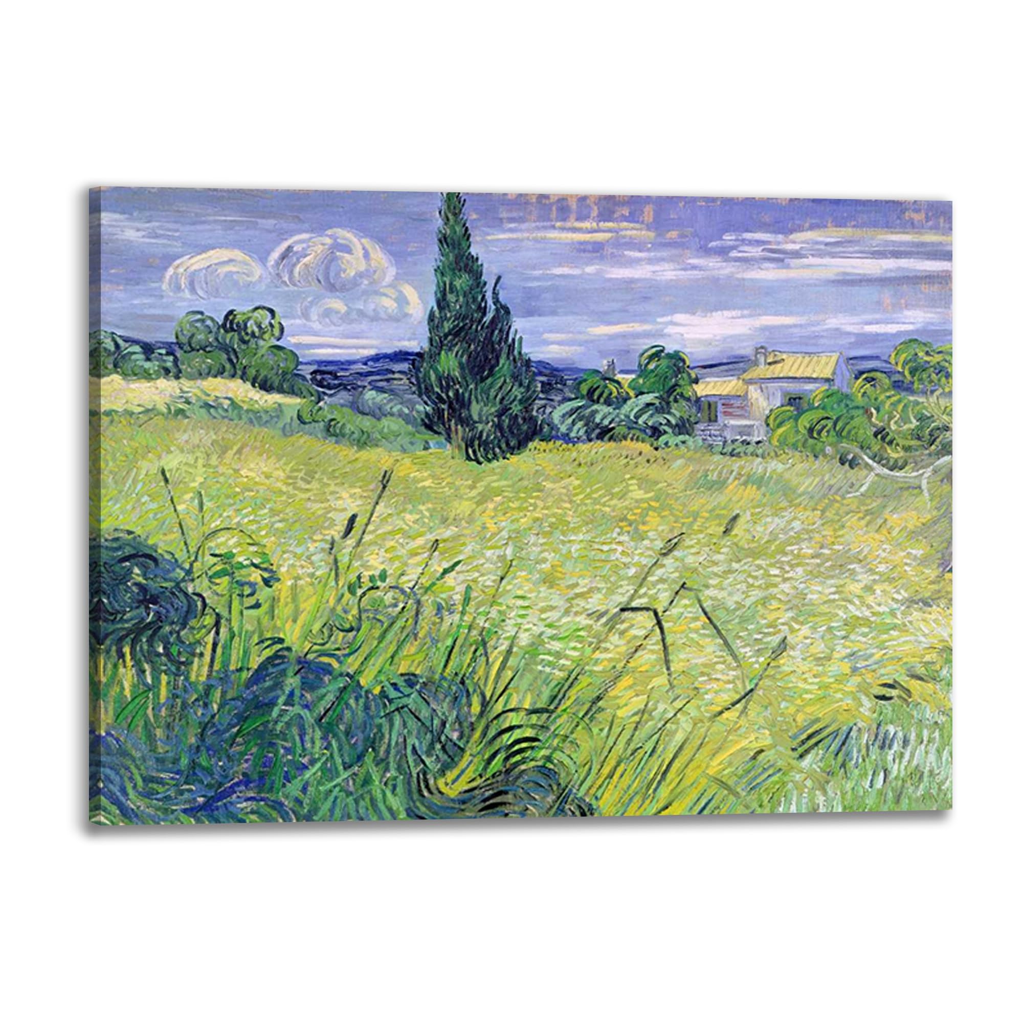 Toile Van Gogh Landscape with Green Corn grand format 120x90 pour décorer une chambre