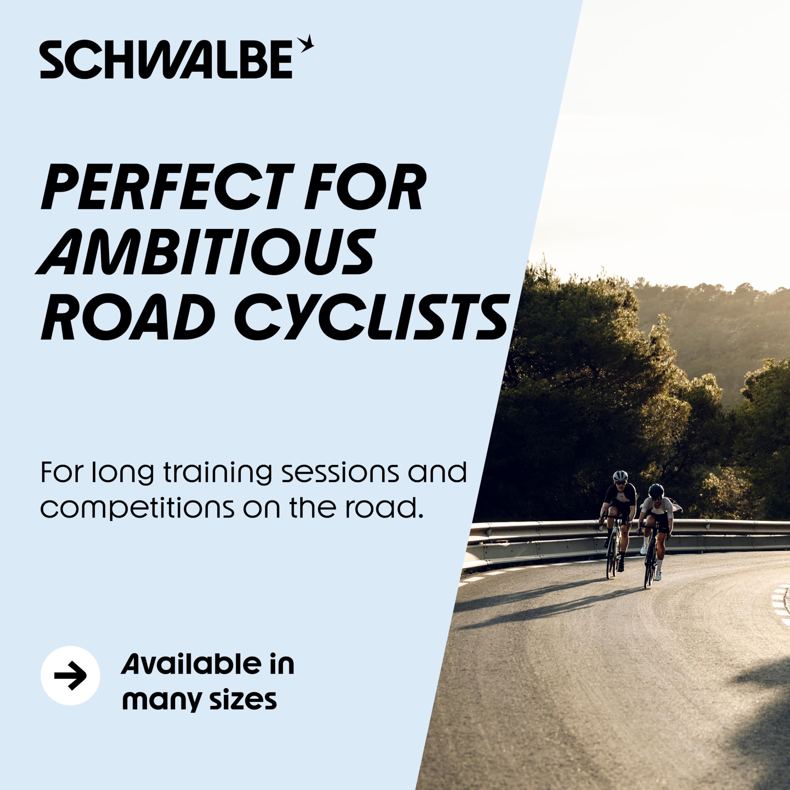 Schwalbe Pro One TLE EVO Faltreifen // 28-622 (700x28C) Super Race
