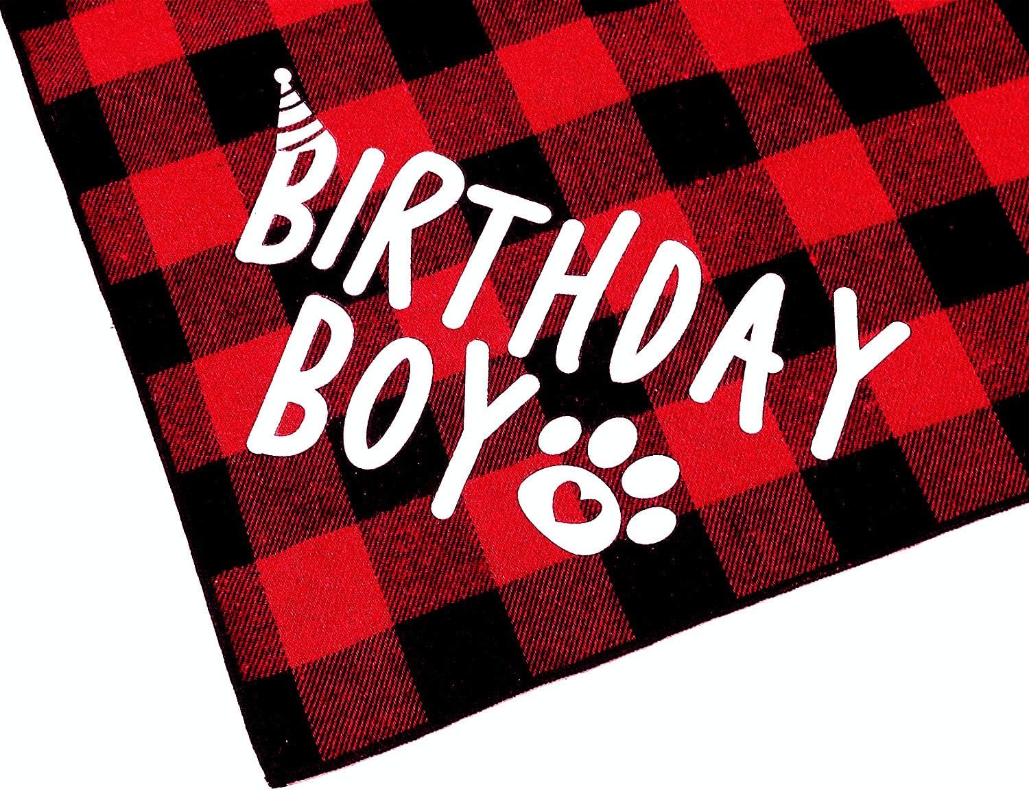 Birthday Boy Dog Bandana
