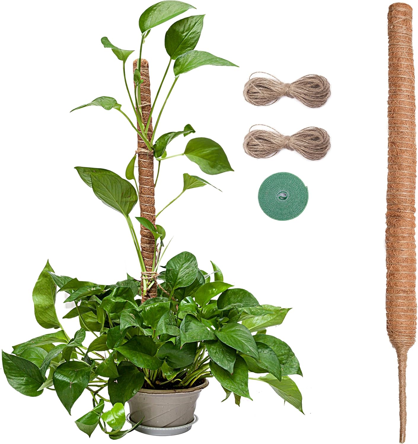 Imezos 48 Inch Moss Pole for Plants Monstera, Tall Moss Poles for Climbing Plants