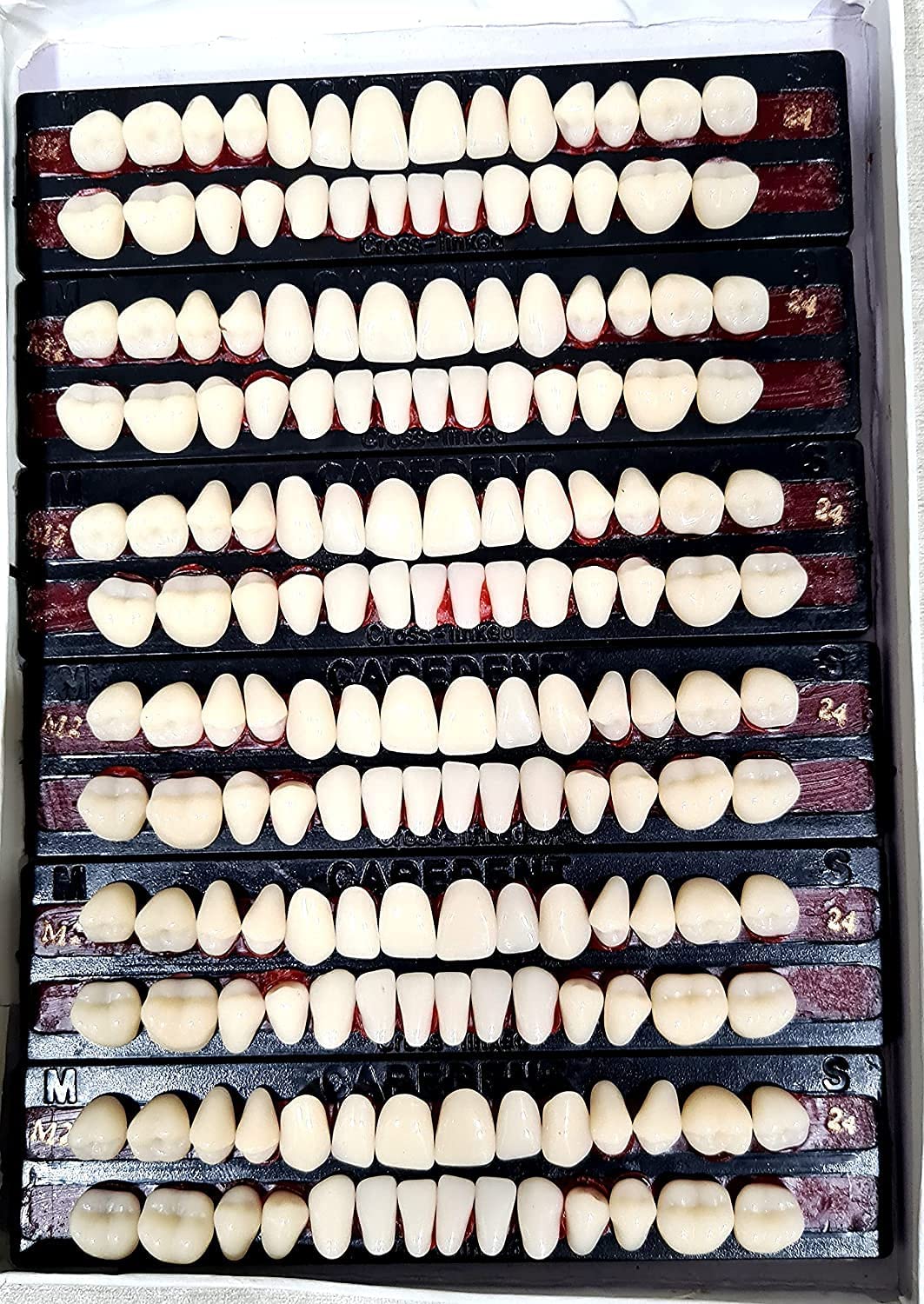 Dental Leo Dent Acrylic Teeth Kit Shade Of Teeth 23-picture-12