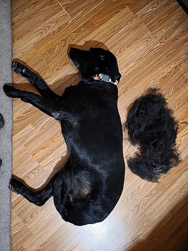 SleekEZ Cat Brush for Shedding & Cat Brushes for — close-up of materials and construction quality